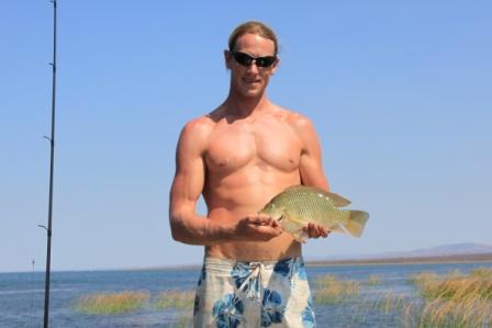 Tilapia in Jozini Dam